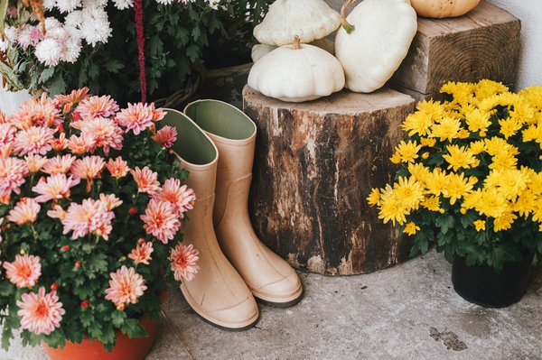 Décoration guinguette : créez une ambiance festive unique